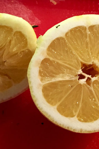 How to Squeeze Lemons