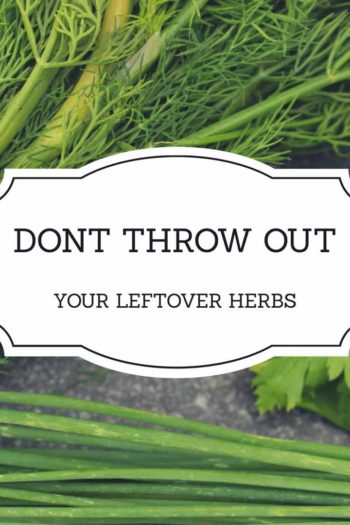 Don't Throw out Leftover Herbs - Make This