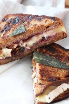 Cranberry Brie Grilled Cheese