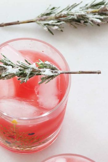 How to Make Snowy Tree Garnish (Sugared Rosemary)- perfect Christmas cocktail garnish. Grab rosemary, sugar, and water and the magic happens. This is edible crafting. www.ChopHappy.com