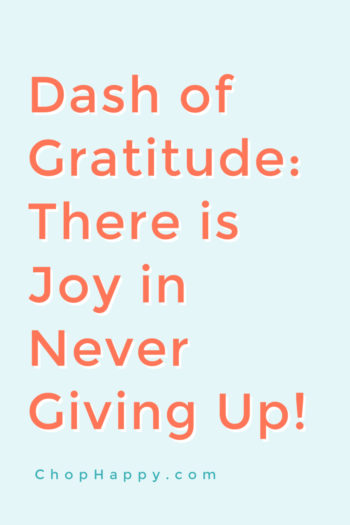 Dash of Gratitude: There is Joy in Never Giving Up! This is a self help video about finding joy, your dreams, love, and purpose with in. Happy Today! www.ChopHappy.com #joy #findingyourself