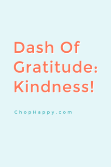 Dash of Gratitude: Kindness. Use the law of attraction nd manifesting to make kindness your norm. Happy Dreaming! www.ChopHappy.com #lawofattraction #gratitude