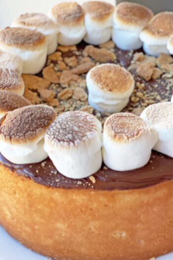 S'mores Cheesecake Topping Recipe. I used the iconic NYC cheesecake to make a chocolate marshmalllow easy dessert. www.ChopHappy.com #NYCcheesecake #s'mores