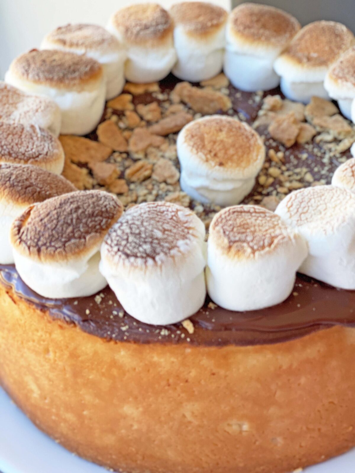 S'mores Cheesecake Topping Recipe. I used the iconic NYC cheesecake  to make a chocolate marshmalllow easy dessert. www.ChopHappy.com #NYCcheesecake #s'mores 