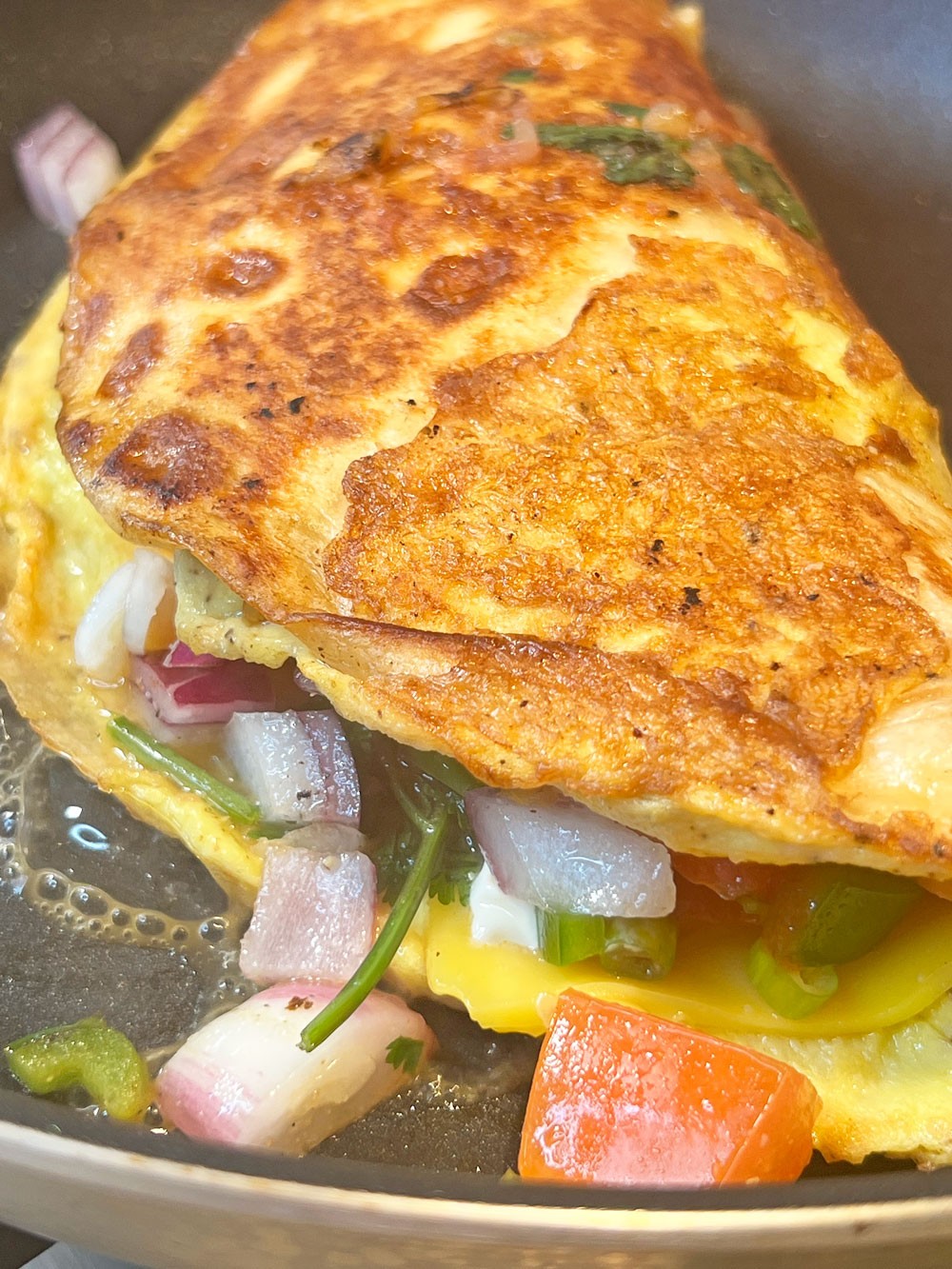 Pan Fried Egg & Cheese Tortilla – Hiroko's Recipes